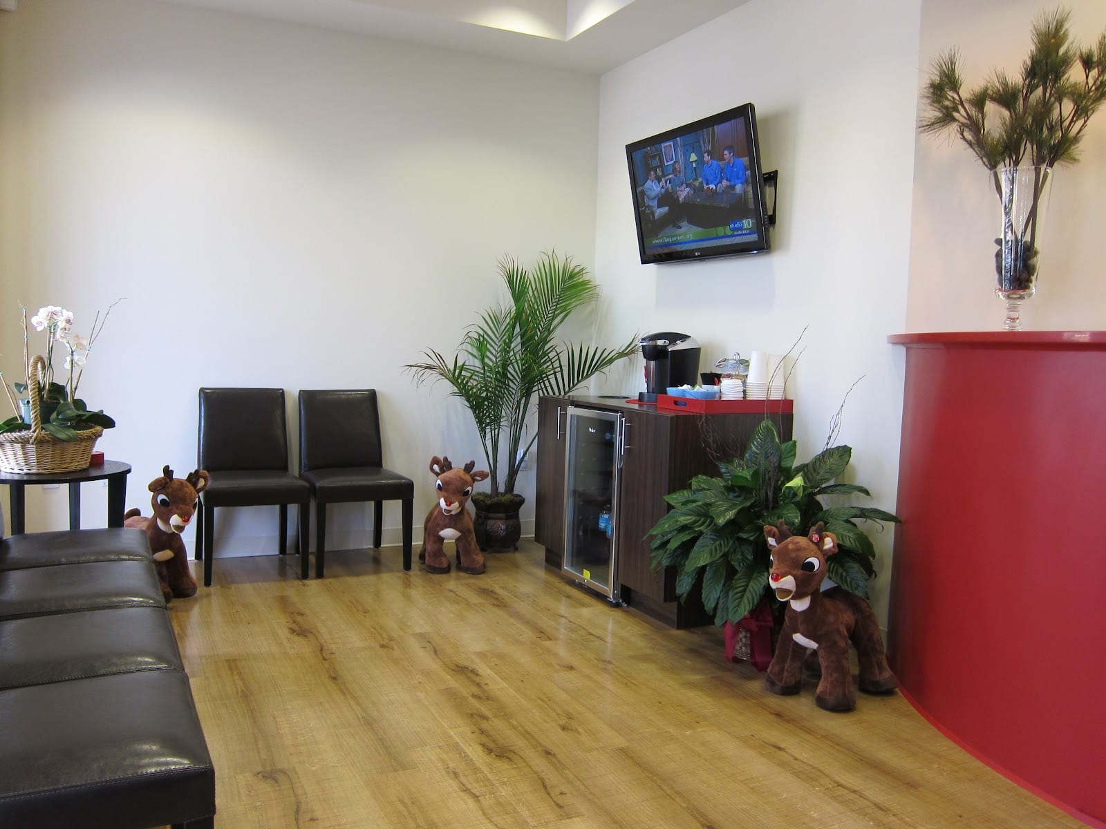 South Tampa Pediatric Dentistry, photo 4