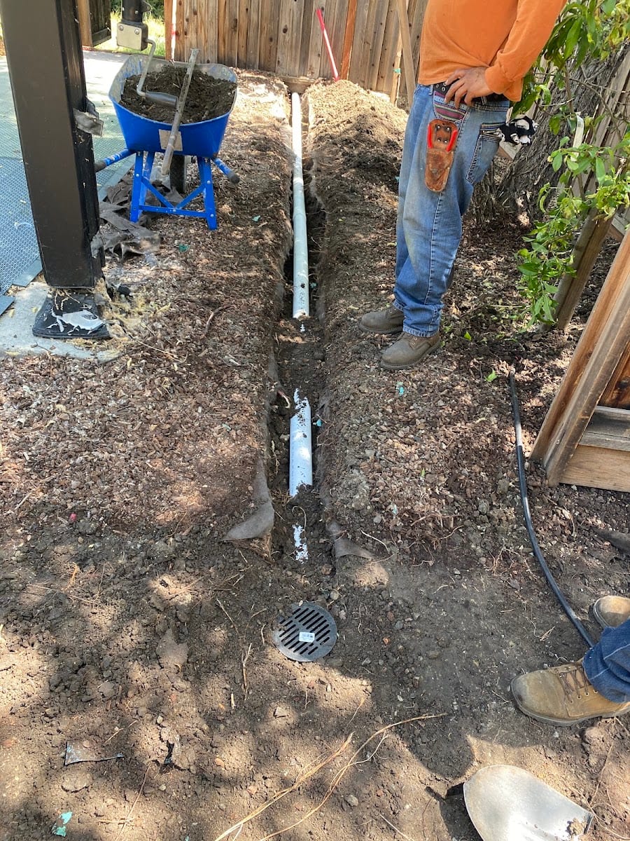 Sf Landscape/Handyman, photo 4