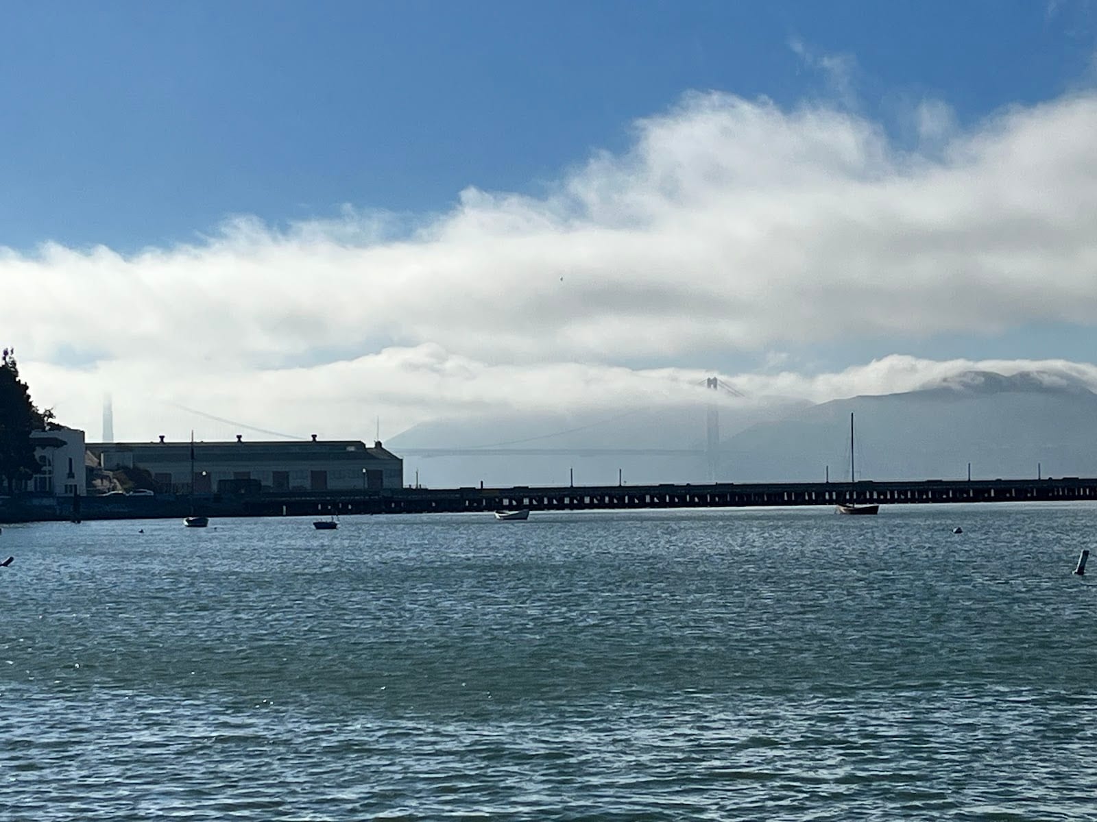 Dolphin Swimming & Boating Club, photo 3