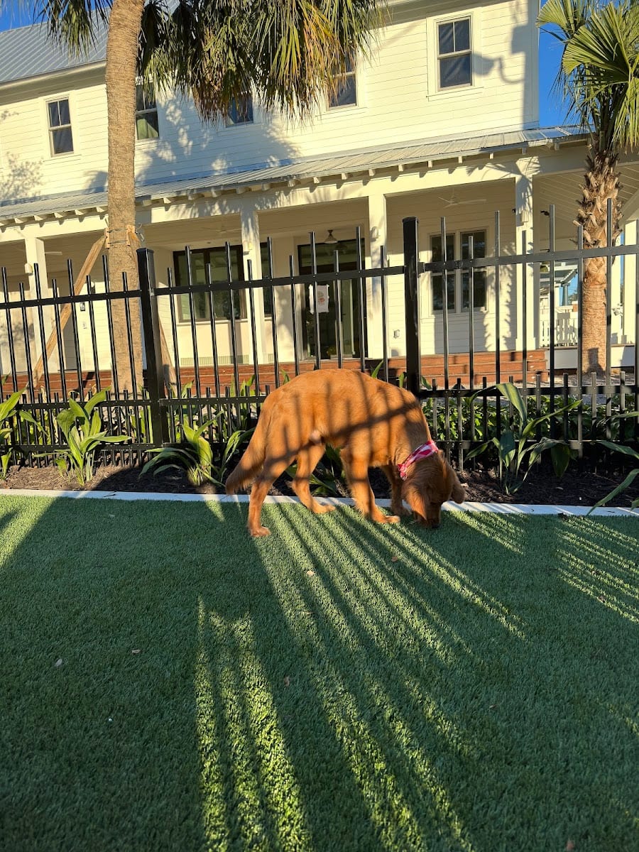 4th and Angel Dog Park