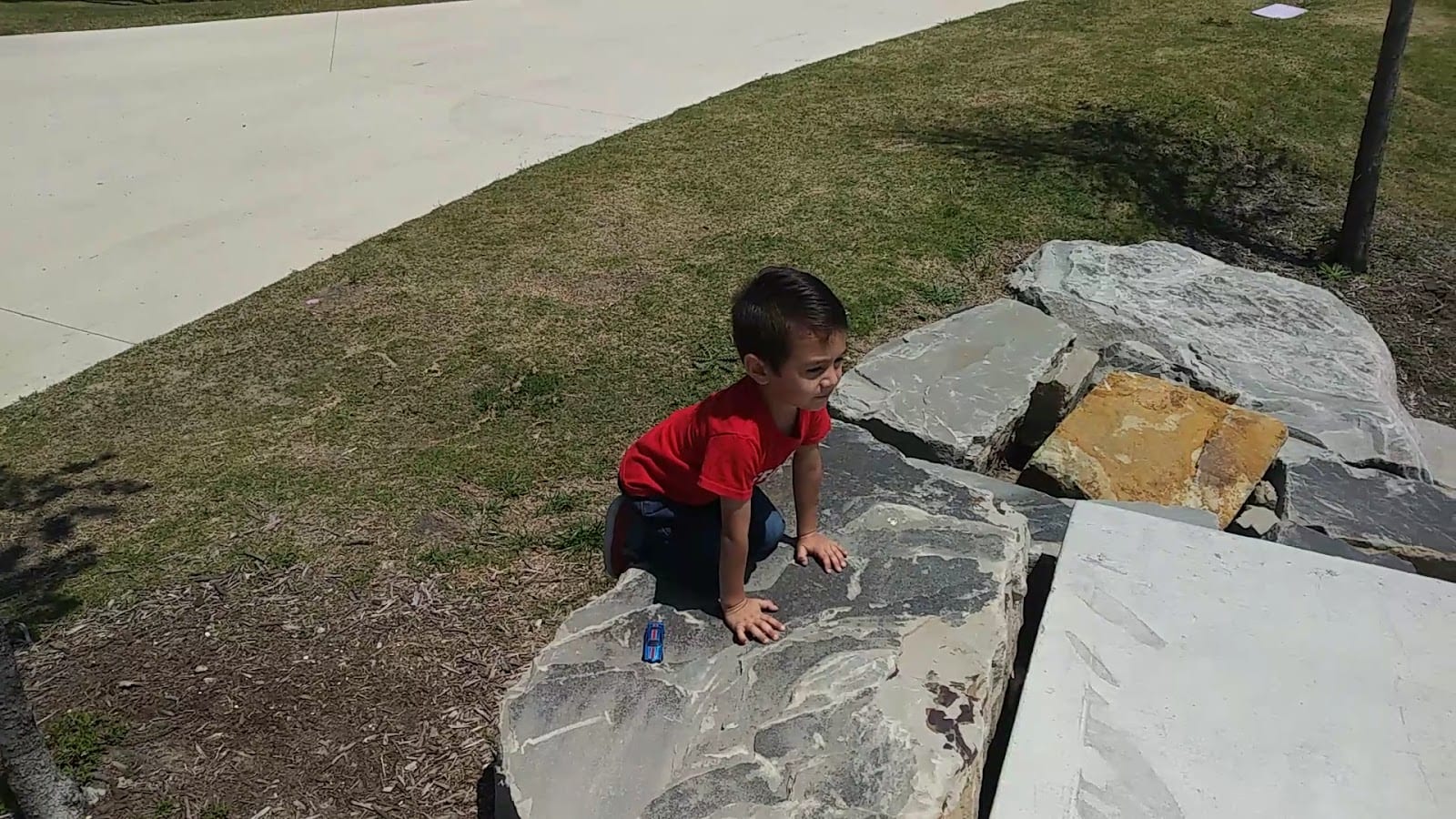 Frisco Skate Park at NE Community Park, photo 2