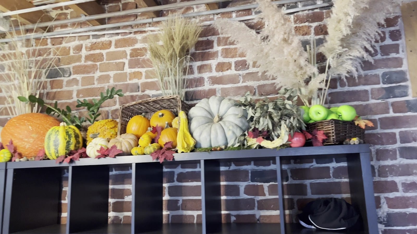 HAUM STUDIOS - MISSION, photo 3