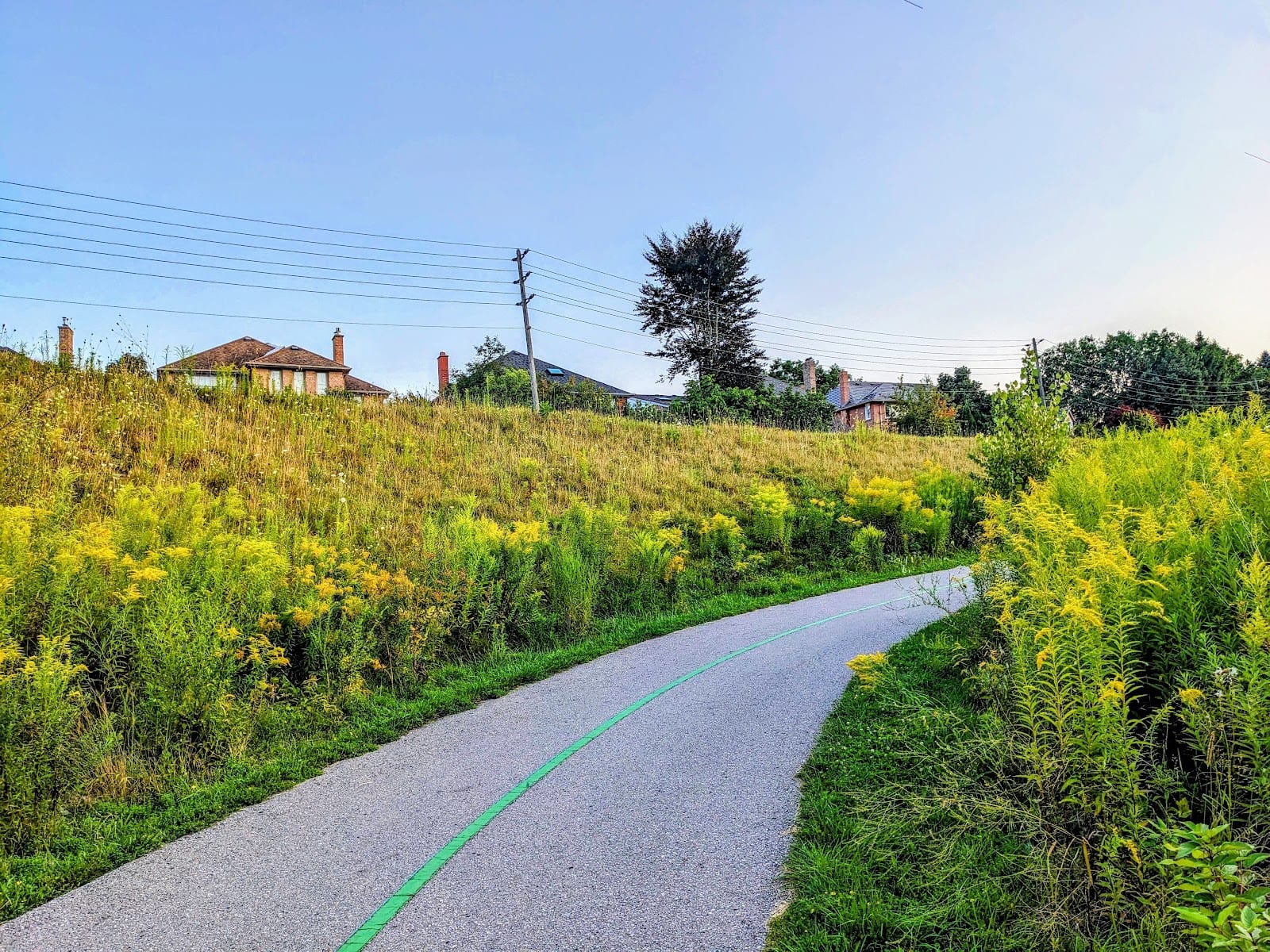 North York Bike Trail