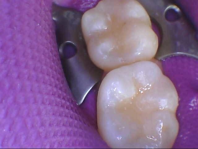 Marmalade Dentistry, photo 2