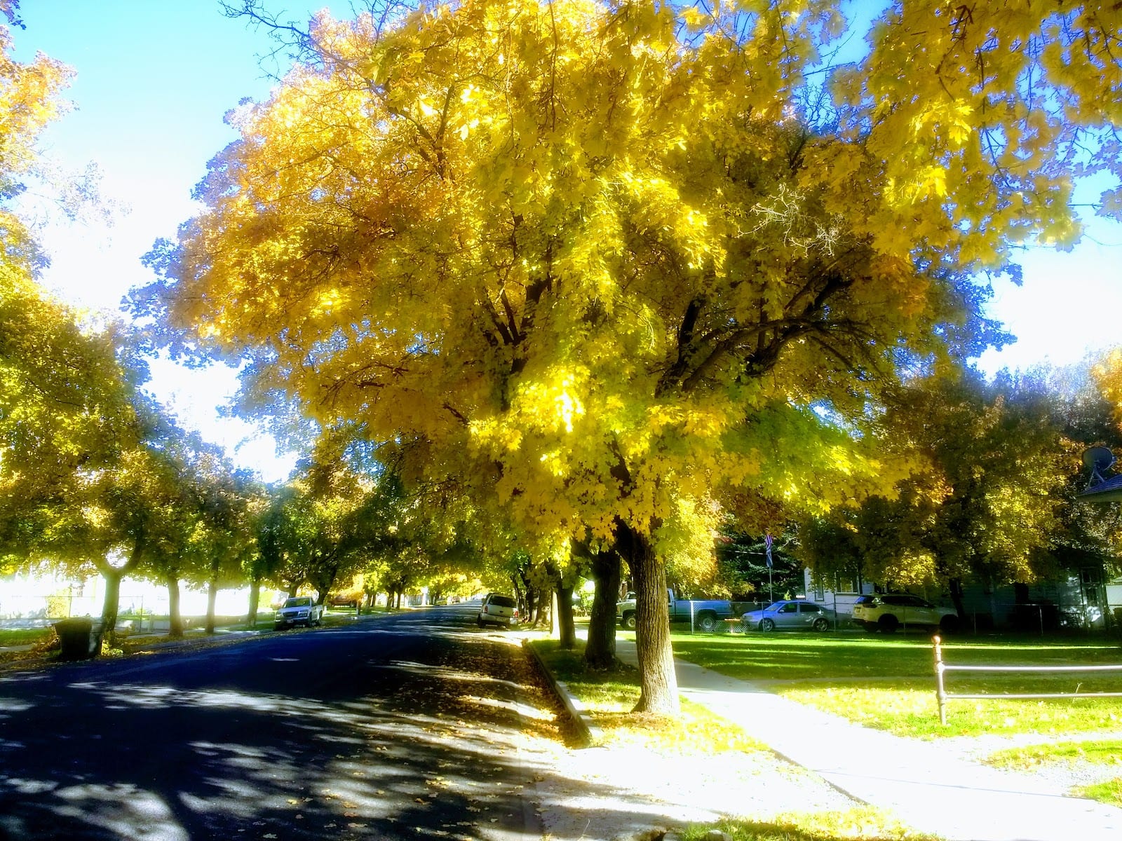 Utah State University Art Department, photo 3