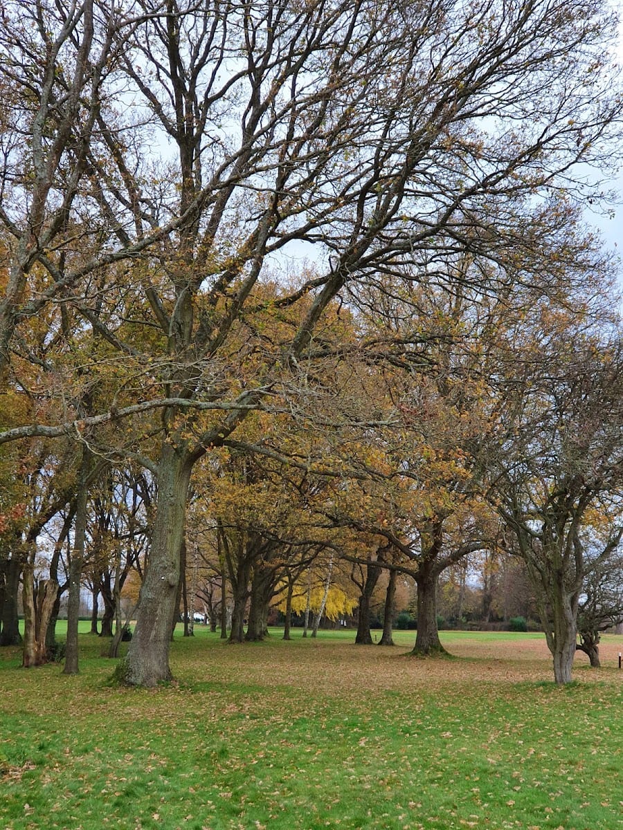 Harpenden Common Golf Club, photo 2