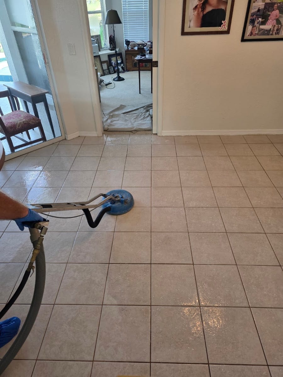 Sean's Carpet & Upholstery Cleaning