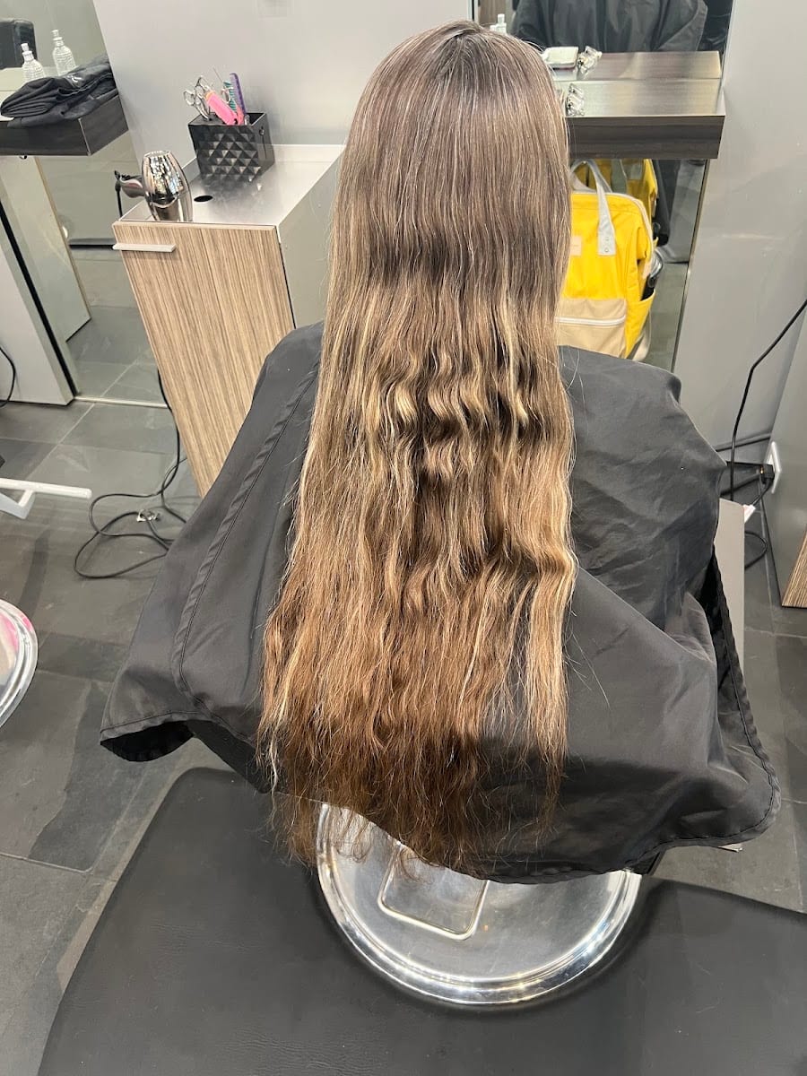 Lunatic Fringe Salon - Parleys Way, photo 2
