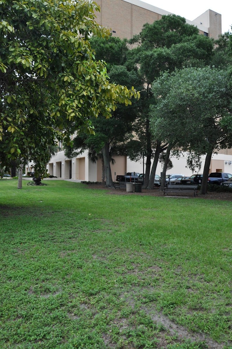 Charles Ringling Park, photo 4