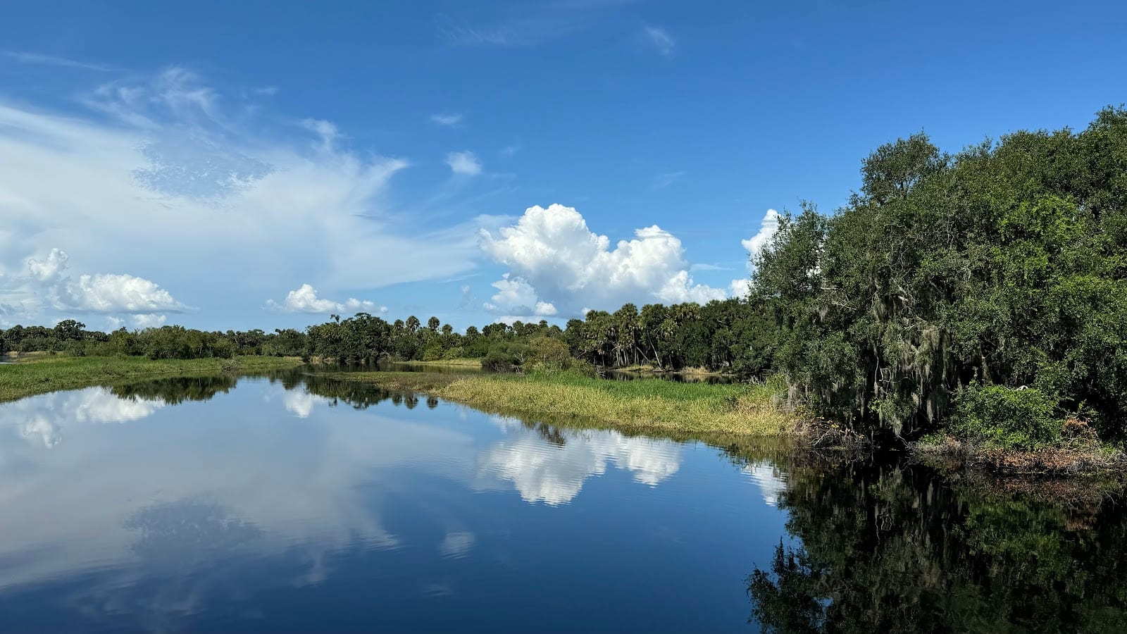 Kayak Launch- Myakka River State Park