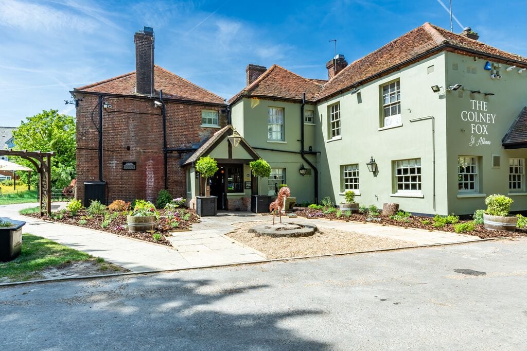 The Colney Fox, photo 4