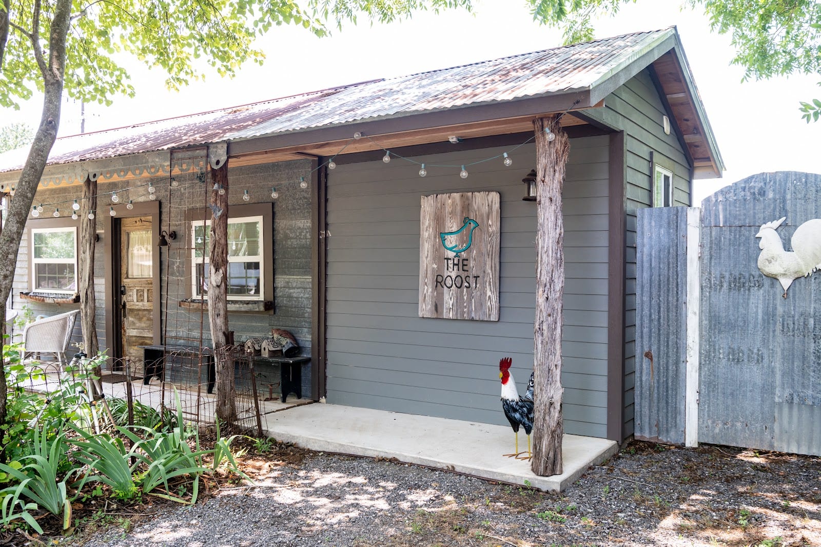 Flown The Coop, photo 3