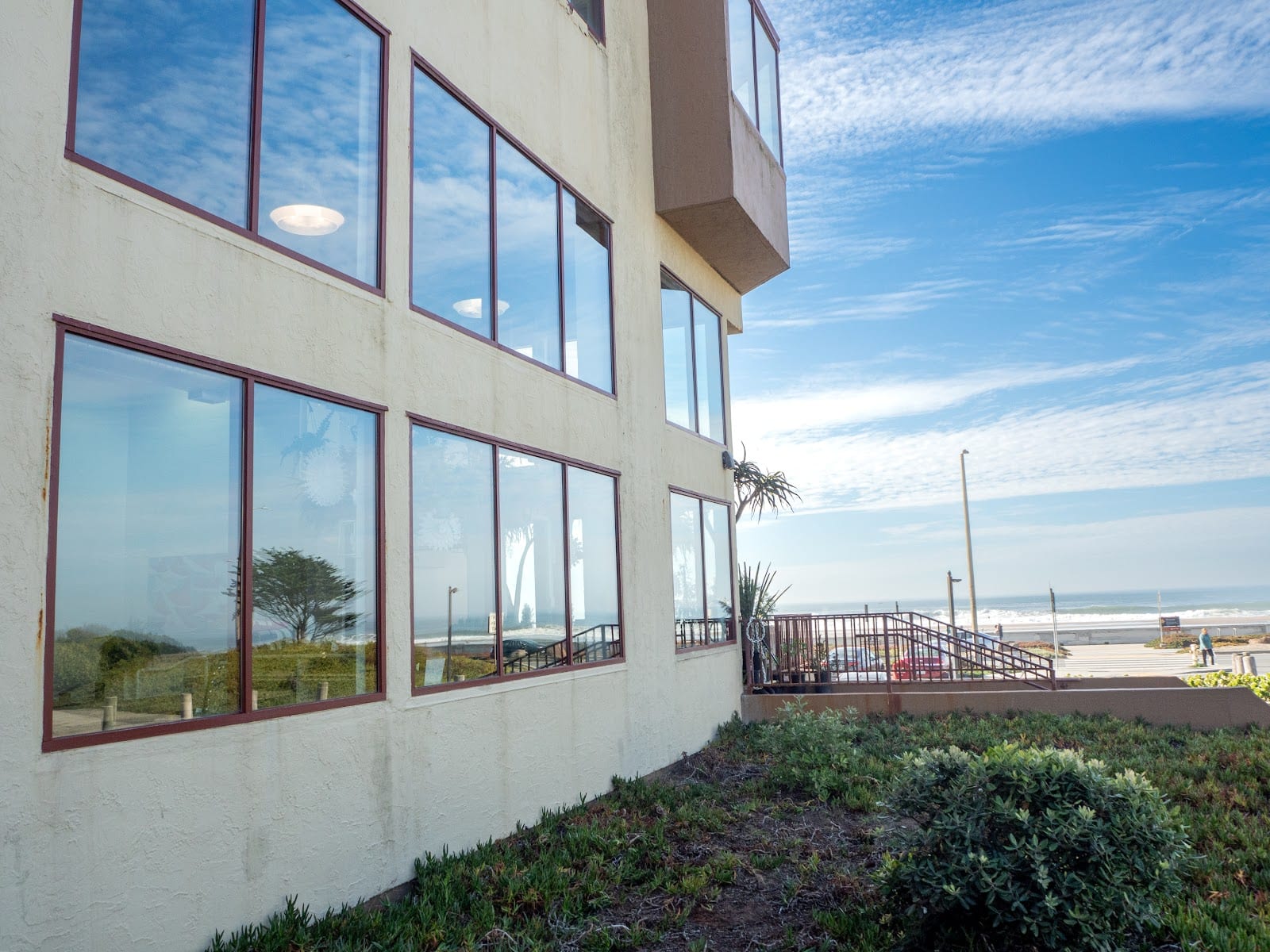 Ocean Plant, photo 3