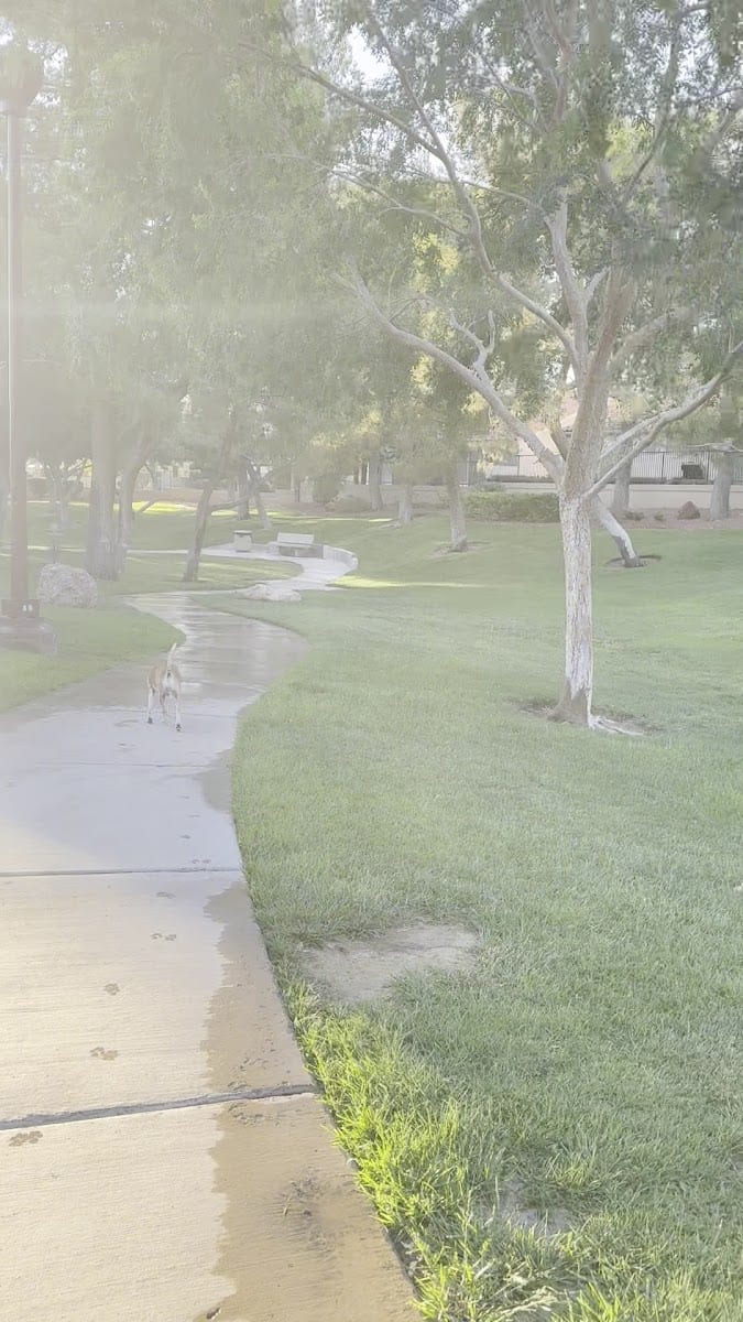 Peccole Ranch Community Playground, photo 2