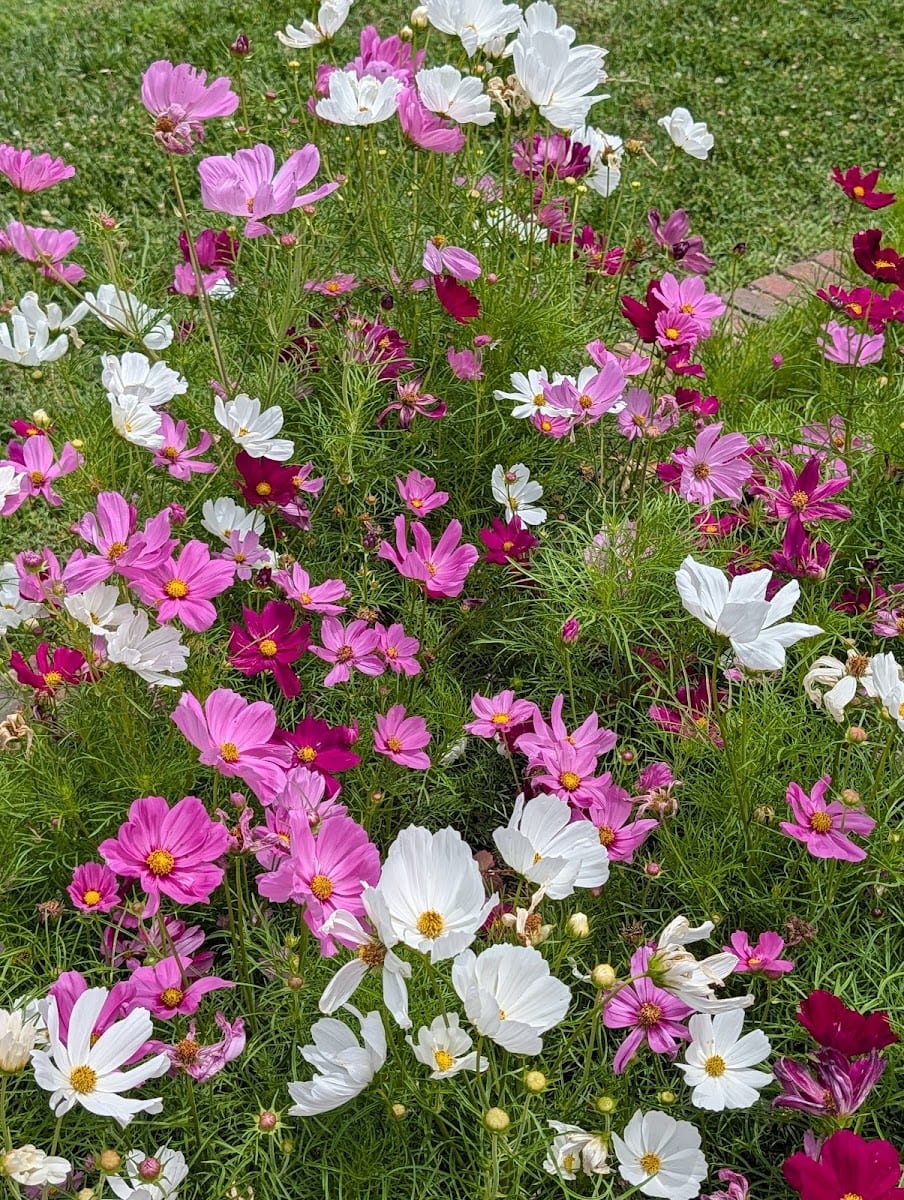 Huntington Park Botanical Garden, photo 3