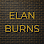 Elan Burns Real Estate