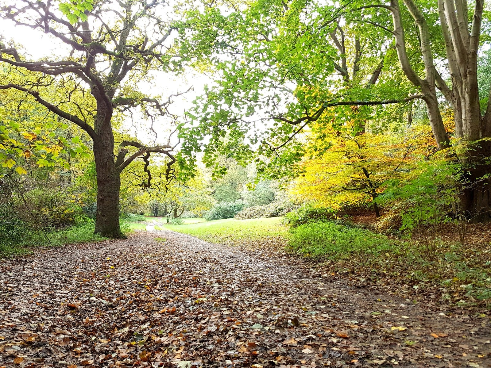 Woodrow Pilling Park, photo 3