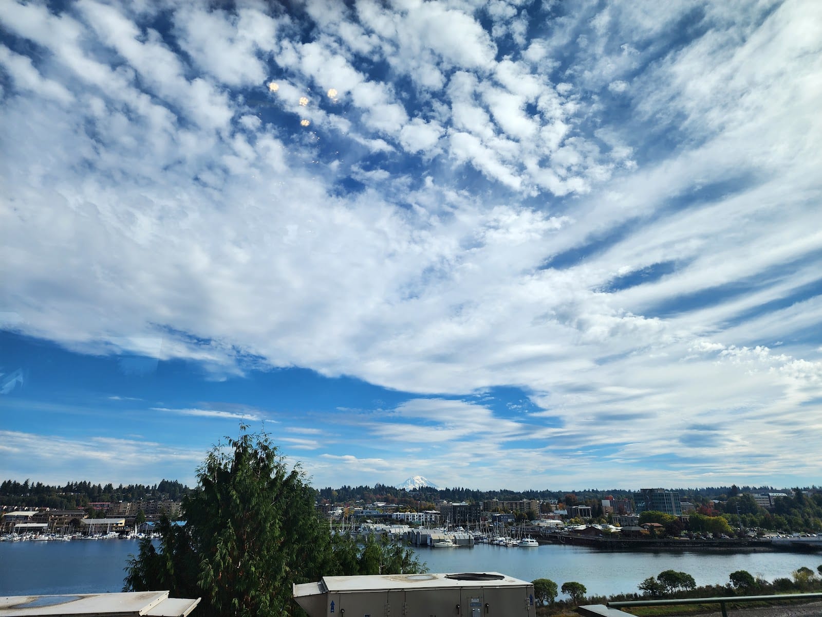 Dermatology & Allergy Specialists of Olympia