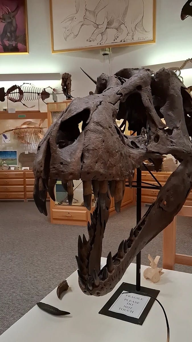 Tate Geological Museum at Casper College, photo 2