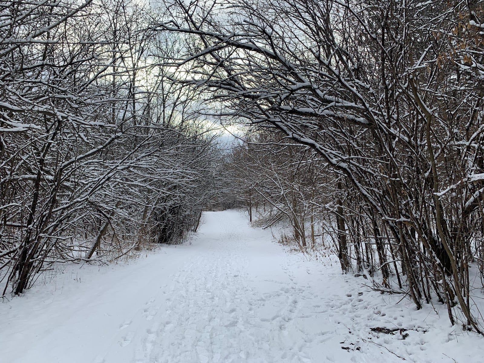 Hillcrest Heights Park, photo 3