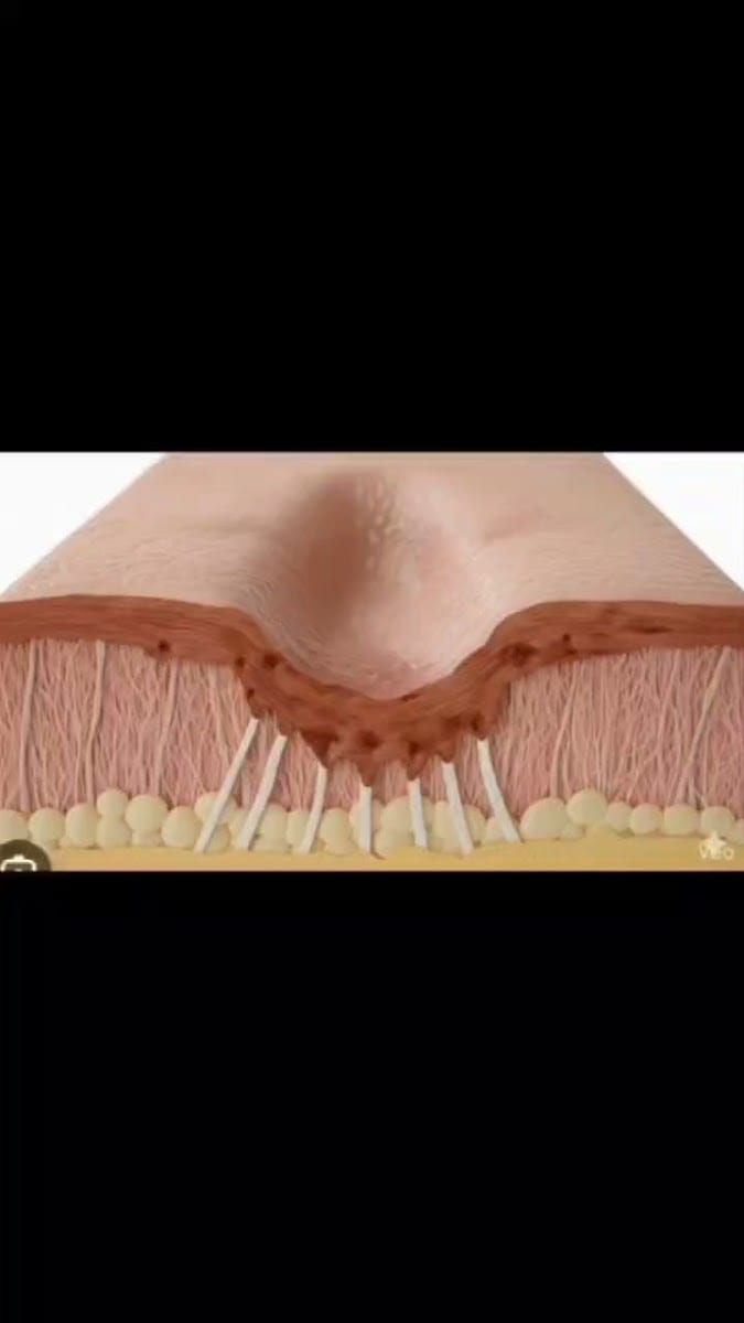 Danesh Aesthetics Dr.M.Danesh ND (Dermatology-Focused), photo 3