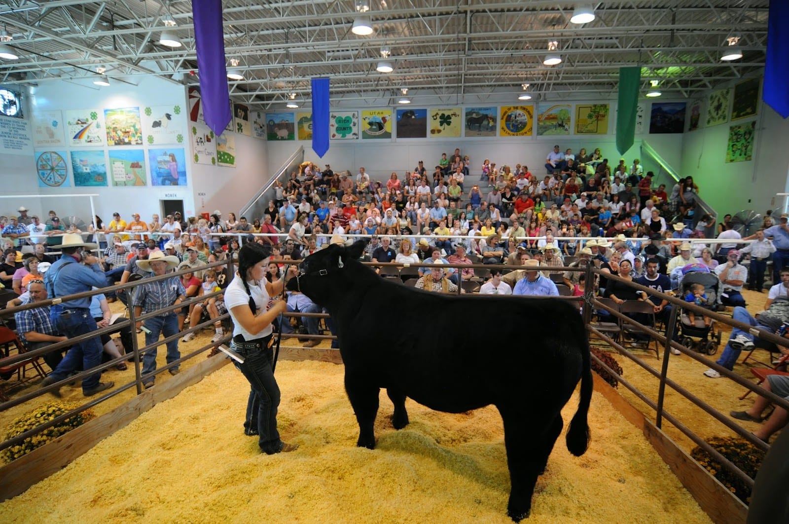 Utah State Fairpark, photo 4