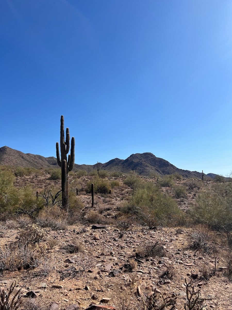 Kovach Family Nature Trail