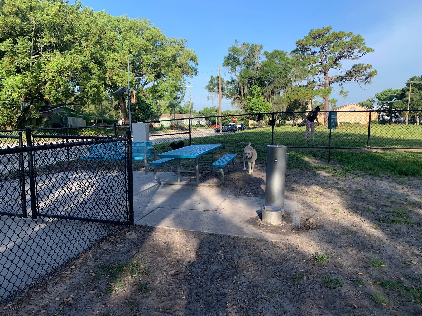 Angus Goss Dog Park