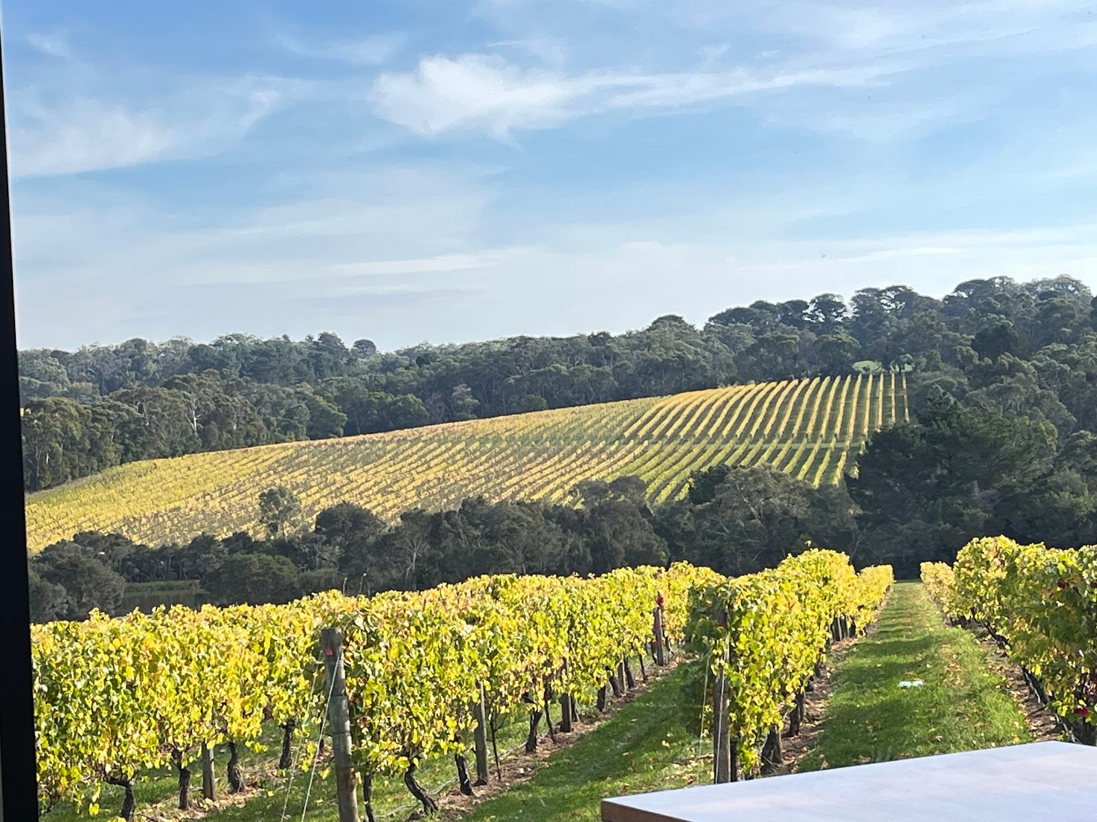LL Vineyard, photo 4