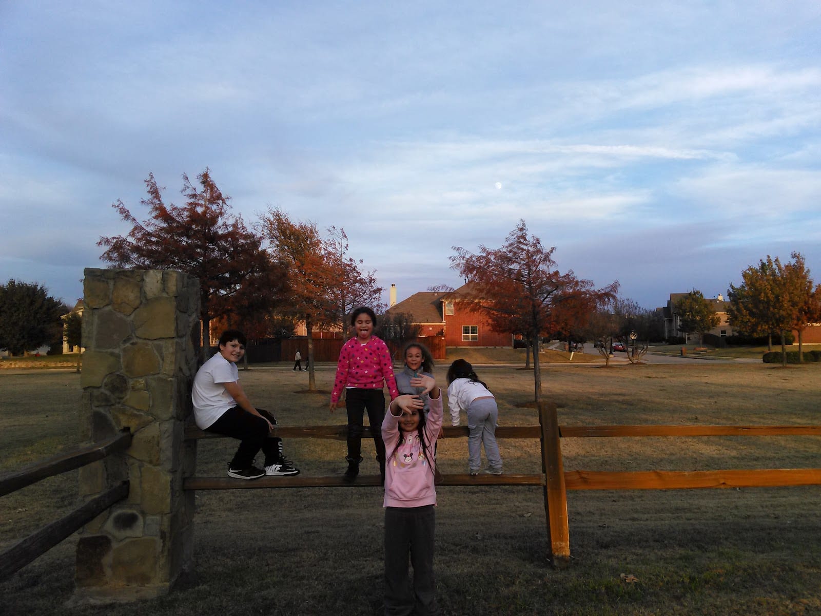 Bobwhite Park, photo 3