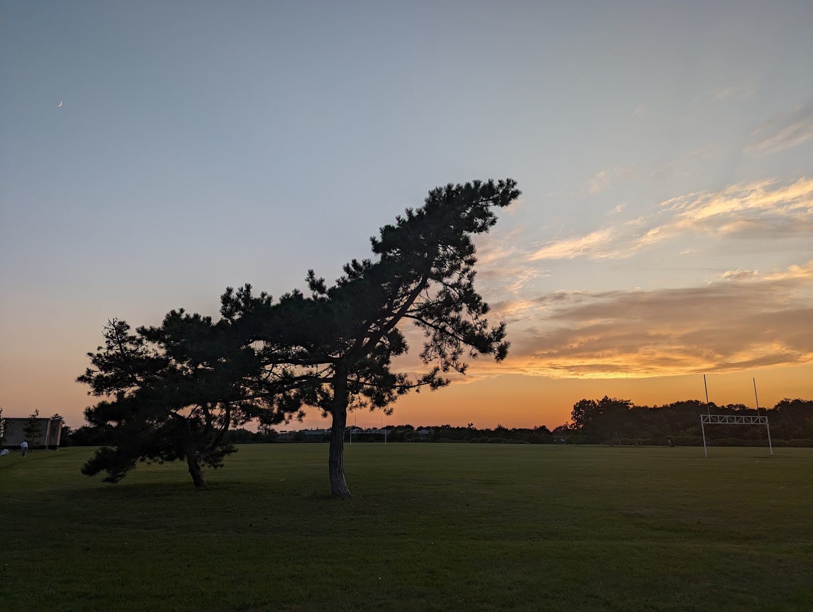 Caledonia Park
