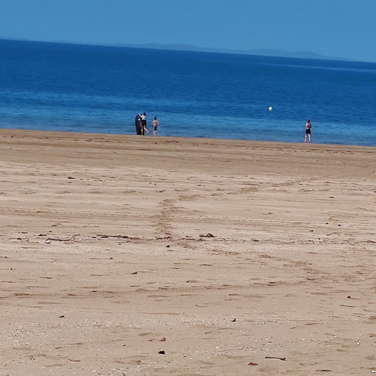 Off Leash Dog Area