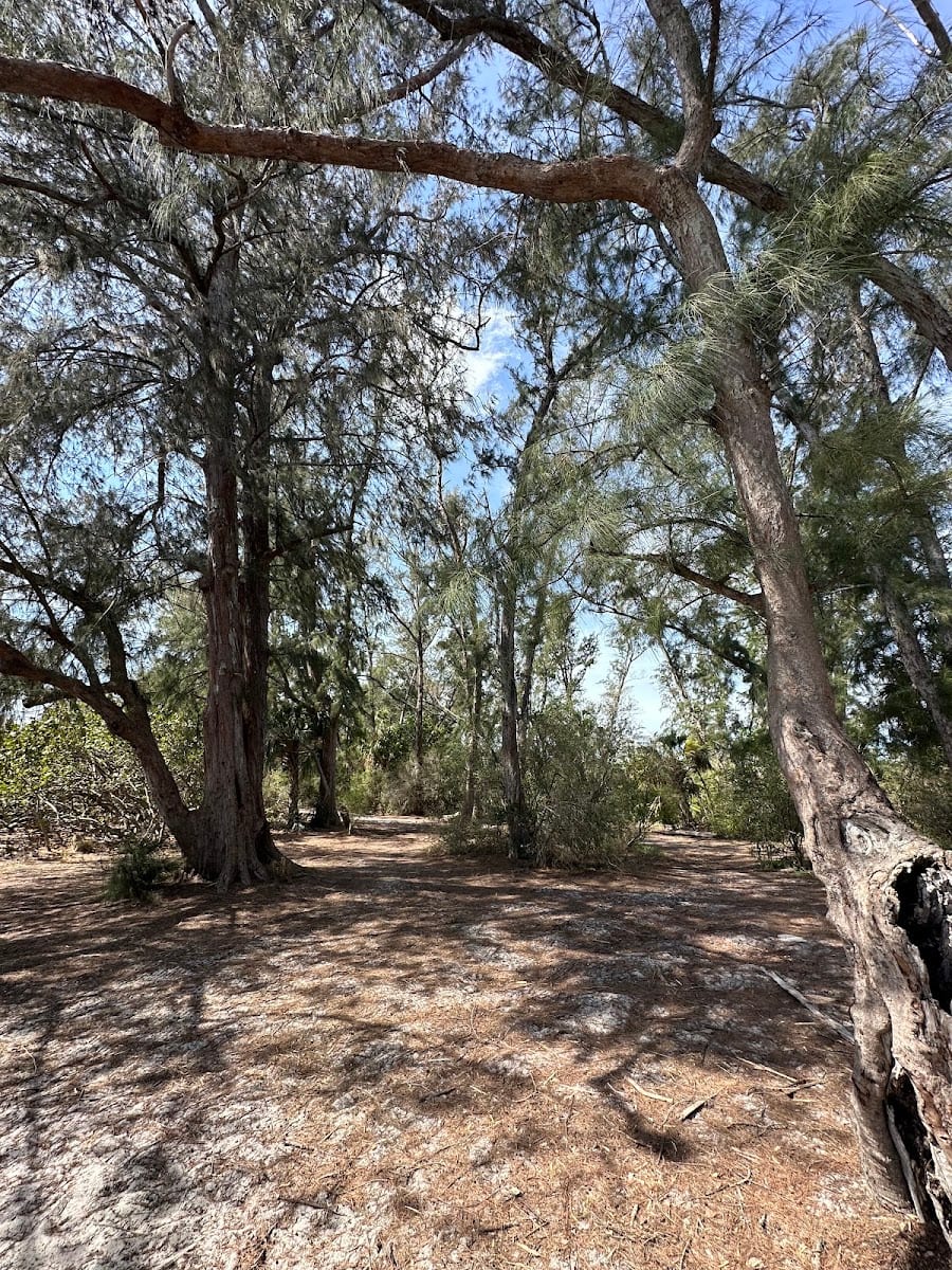 South Lido Lookout Bridge, photo 3