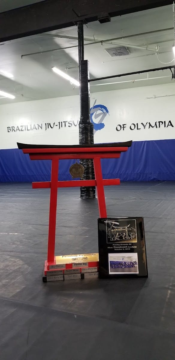 BJJ OLYMPIA - Brazilian Jiu-jitsu | Kickboxing | MMA | Self Defense | Private Lessons | Kids Classes, photo 2