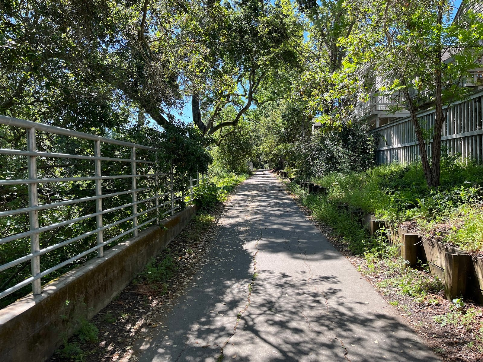 Napa River Trail Head