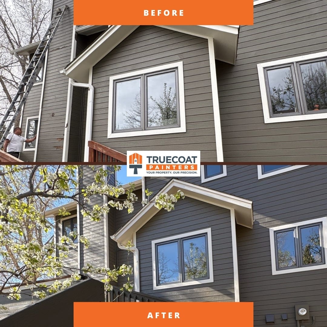 TrueCoat Painters, photo 2