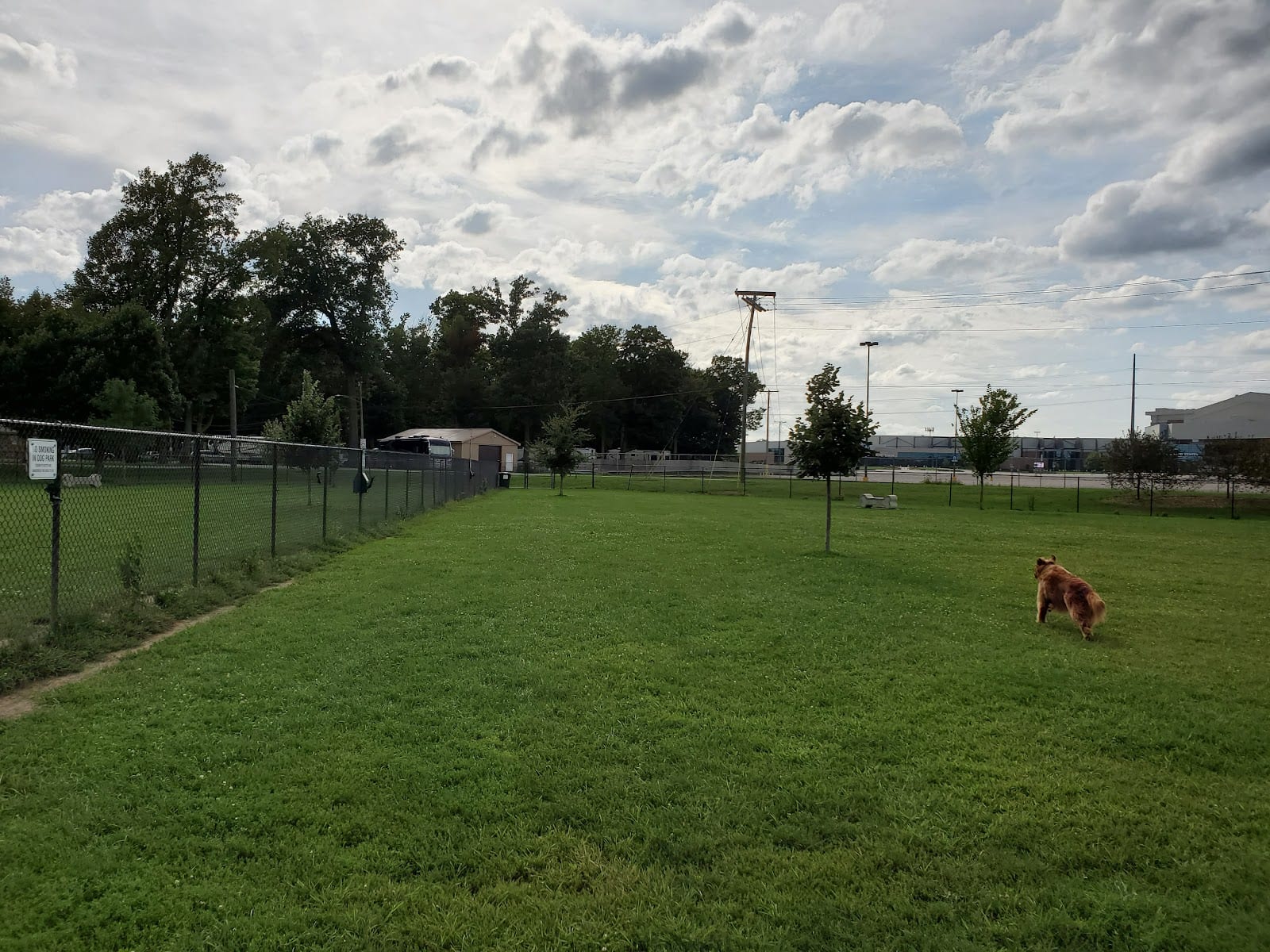 Camp Canine: Members Only