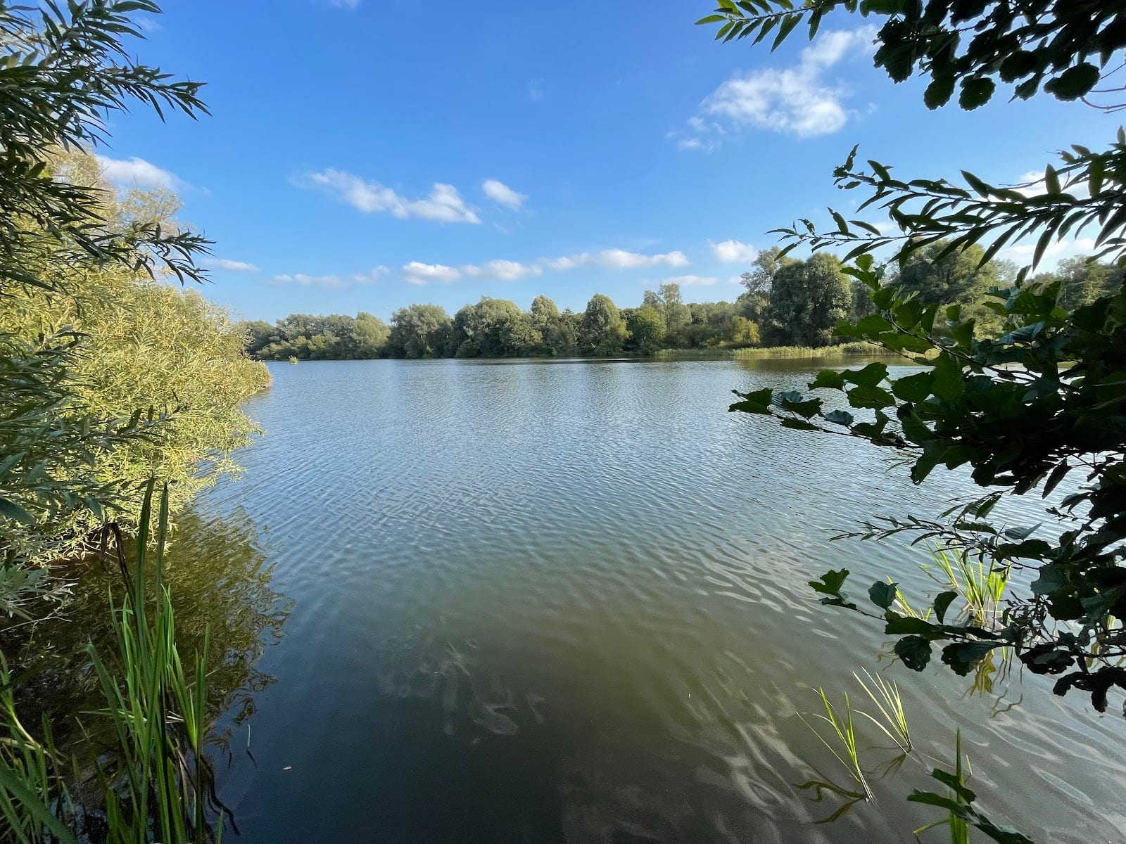 UEA Broad