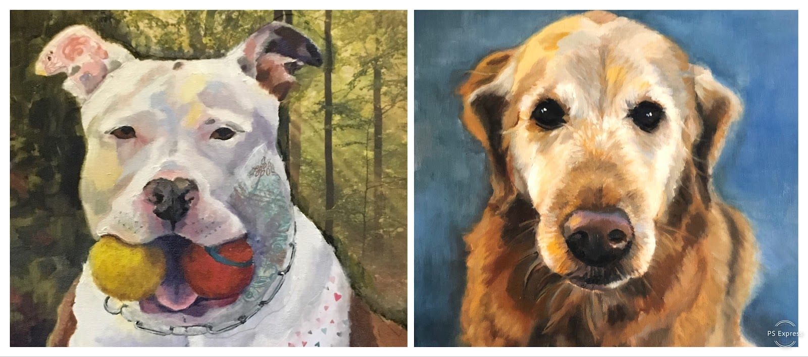 Pet Portrait Studio - Cathy Cole Fine Art, photo 2
