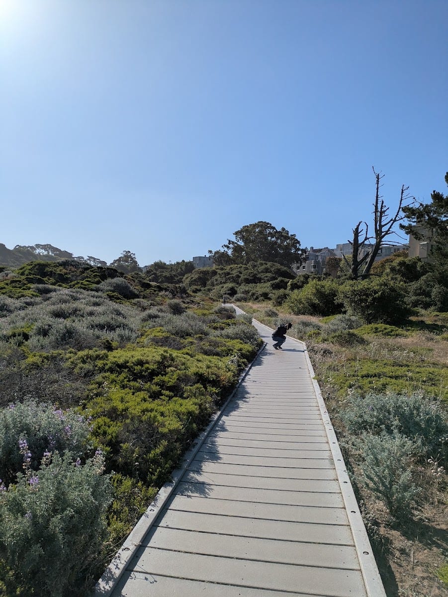 Lobos Creek Valley Trail