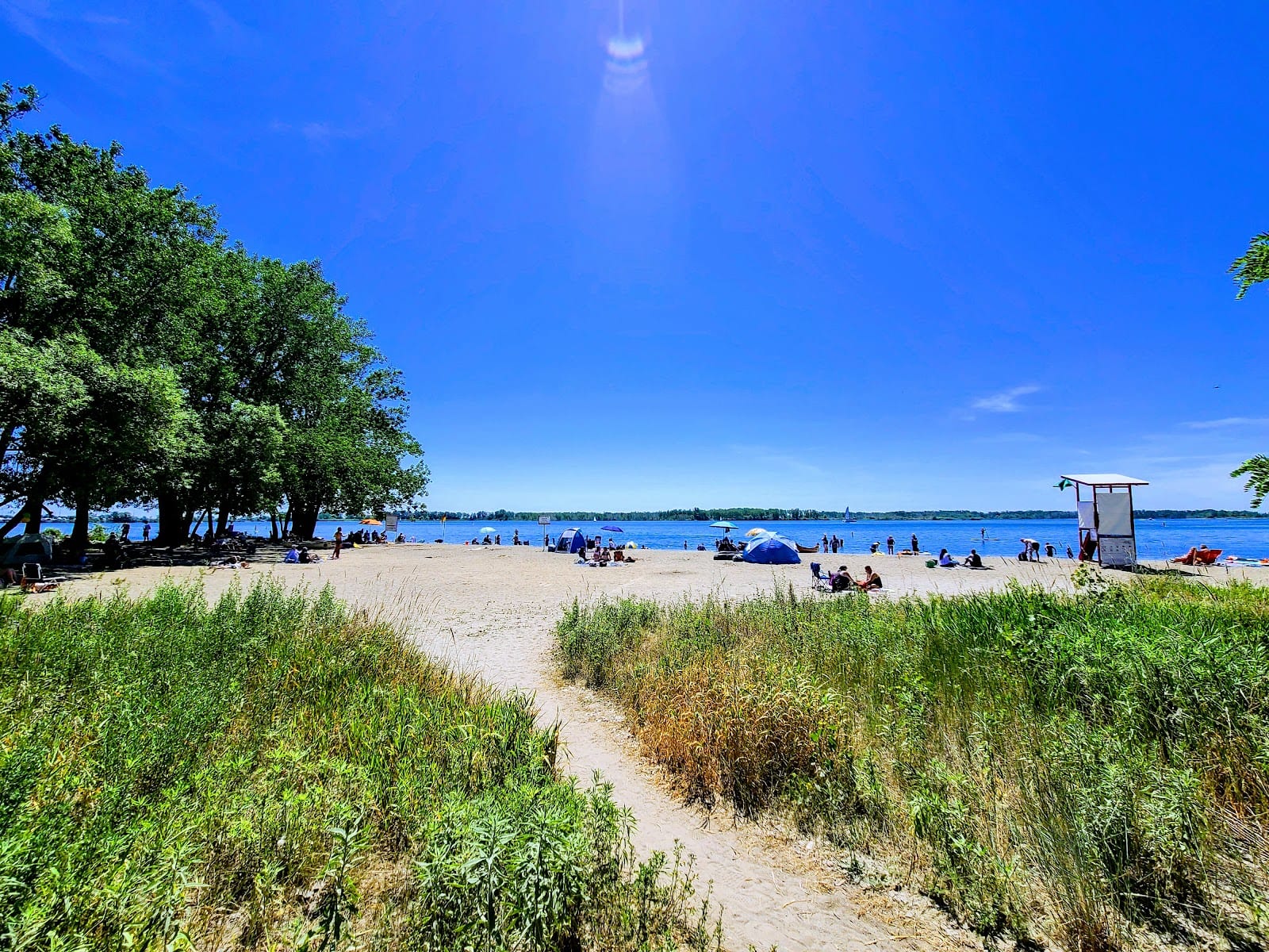 Cherry Beach Off Leash Dog Park