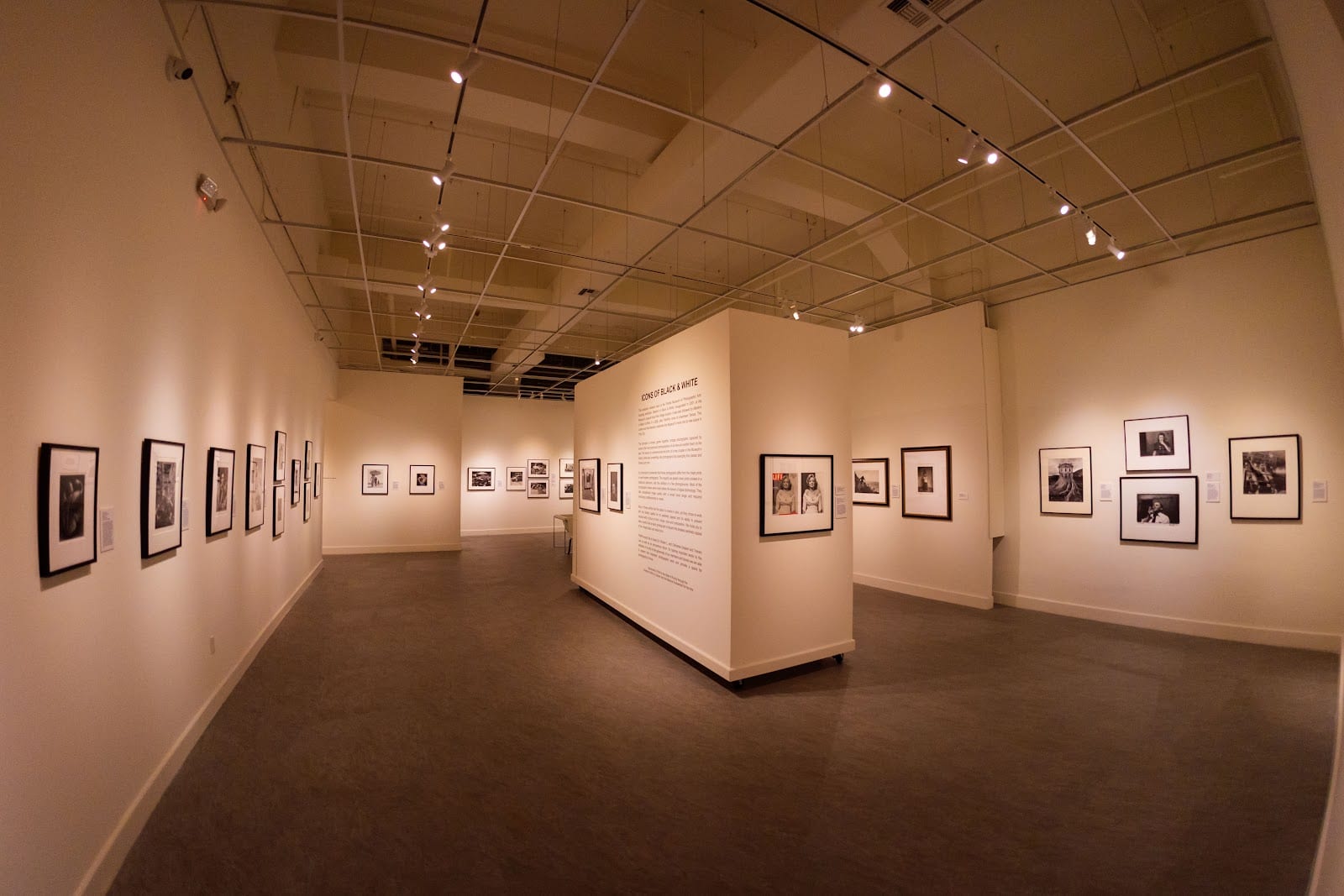 The Florida Museum of Photographic Arts, photo 4