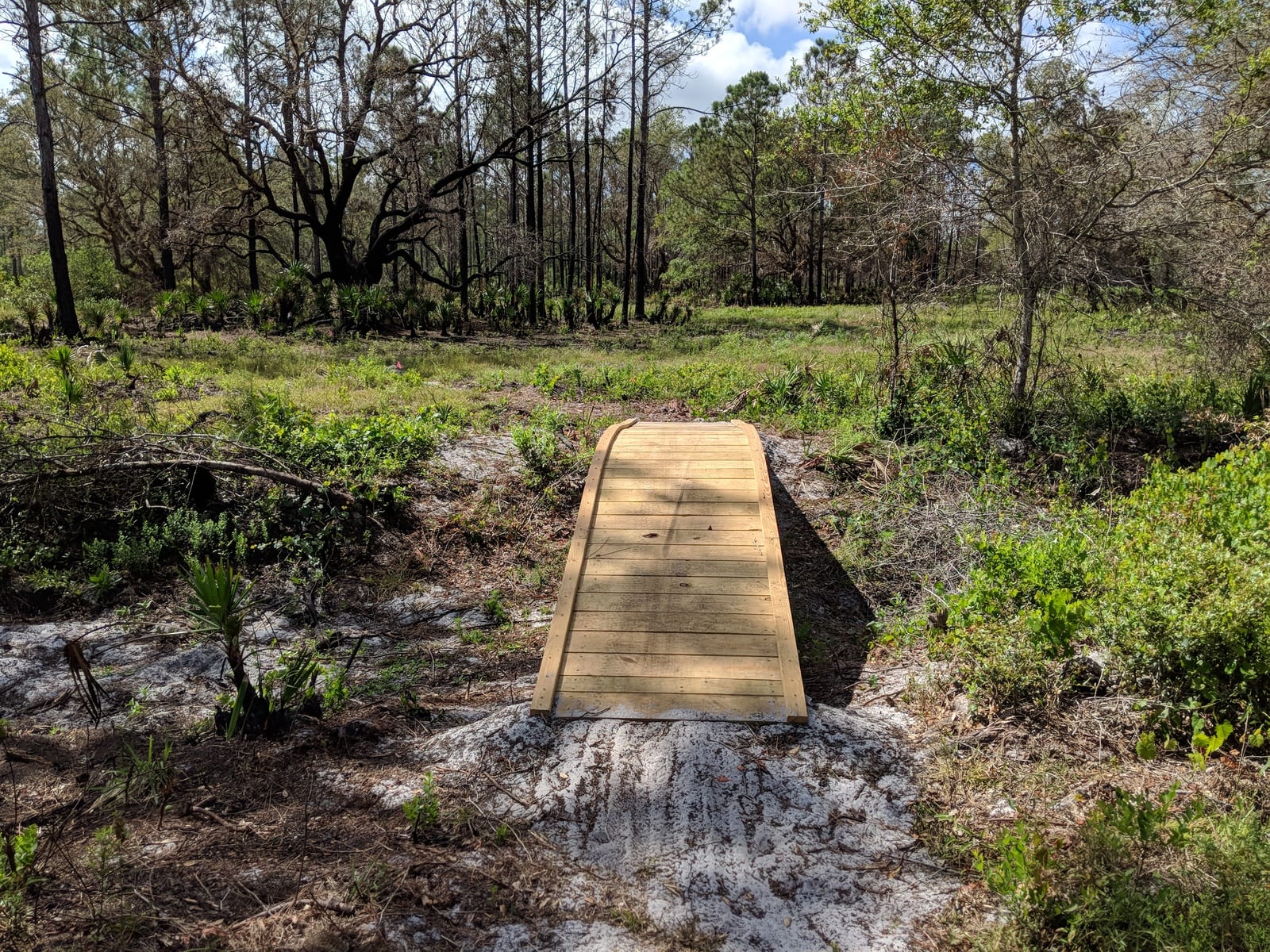 T. Mabry Carlton Jr. Memorial Reserve, photo 3
