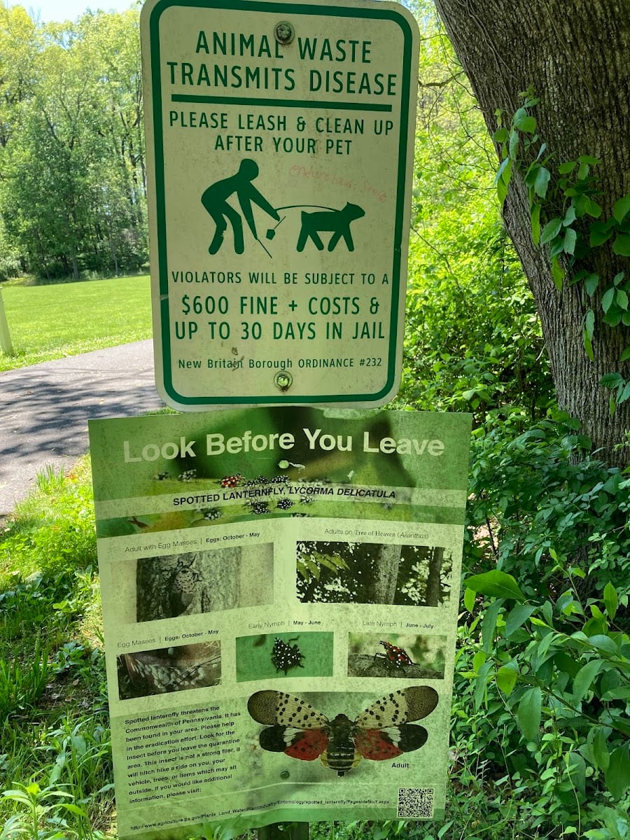Pine Valley Park Running Trail, photo 3
