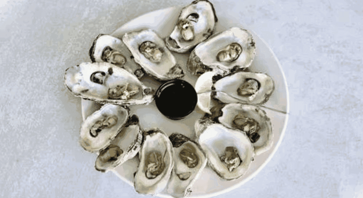 Anna Maria Oyster Bar - North Port, photo 3
