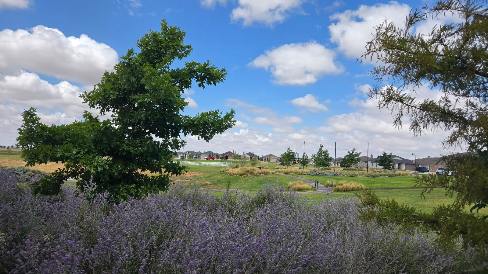 Farmers Park