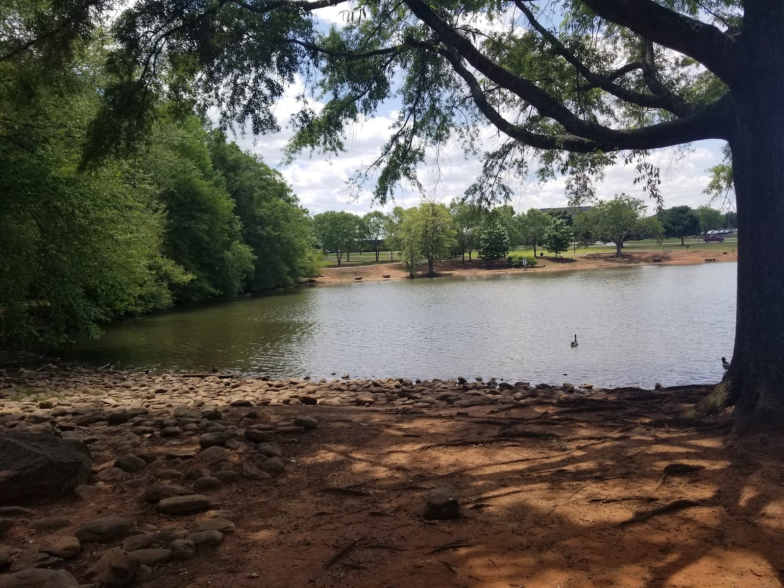 Anderson County Parks & Rec, photo 3