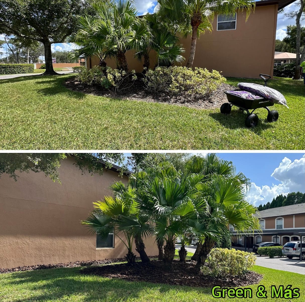 Green & Más Landscape Services