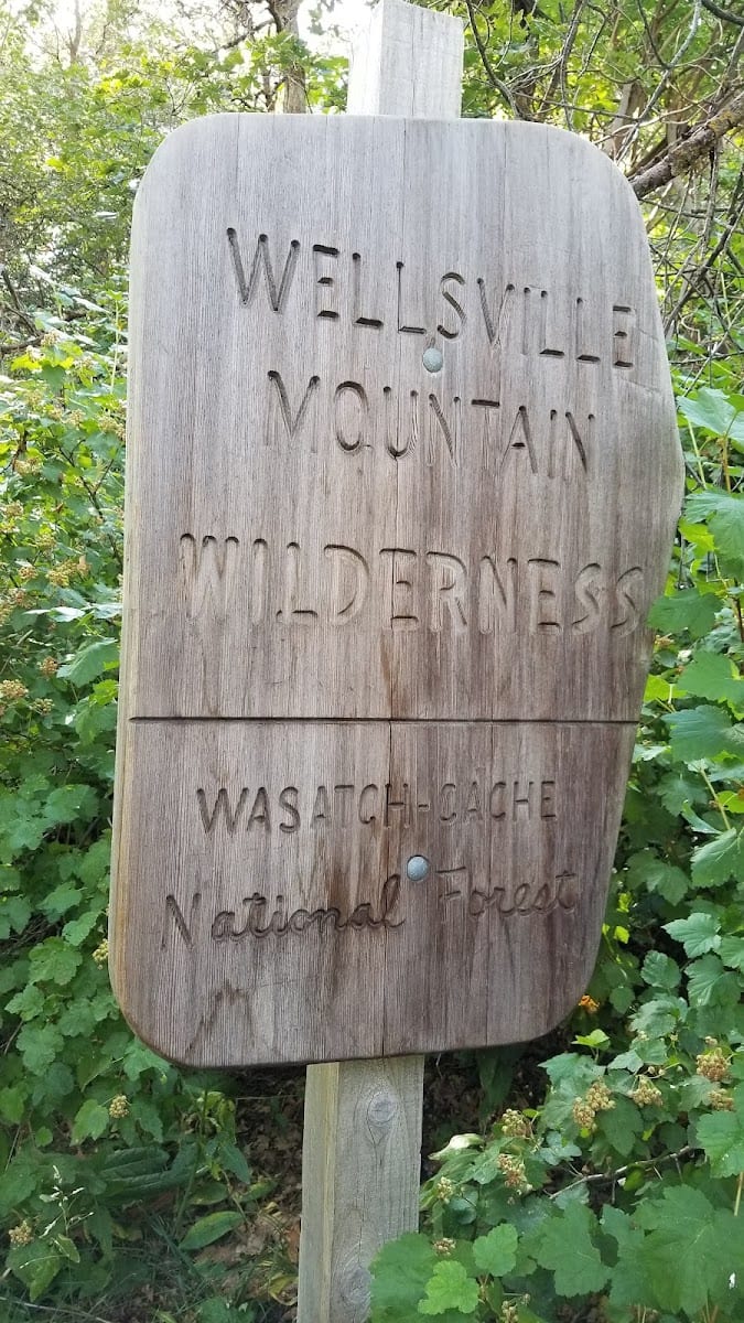 Wellsville Mountain Wilderness