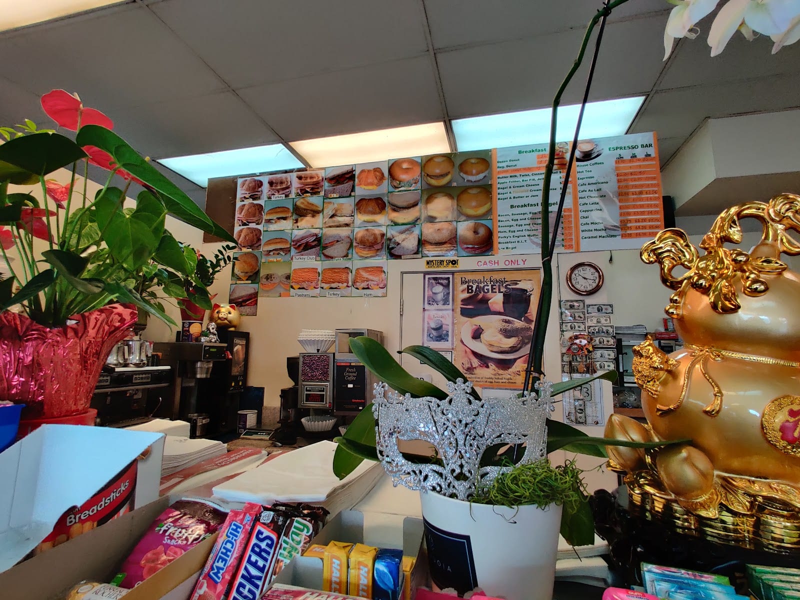 Western Donut Shop, photo 3